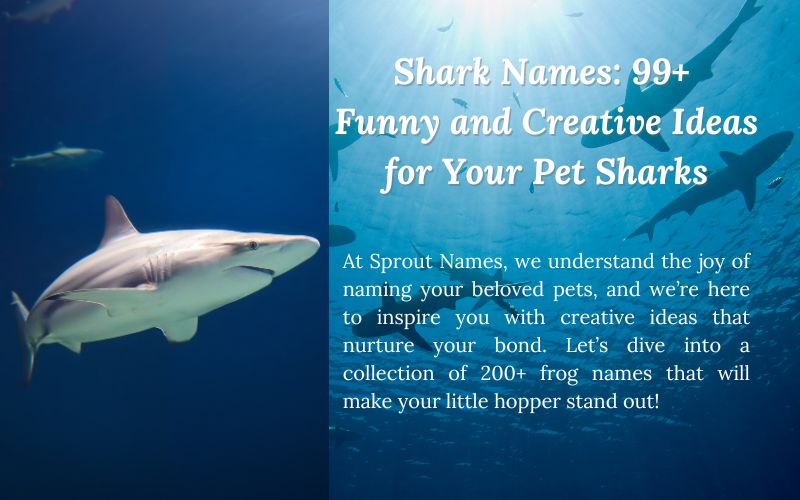 A vibrant illustration of a shark with creative and funny name suggestions for pet animals.