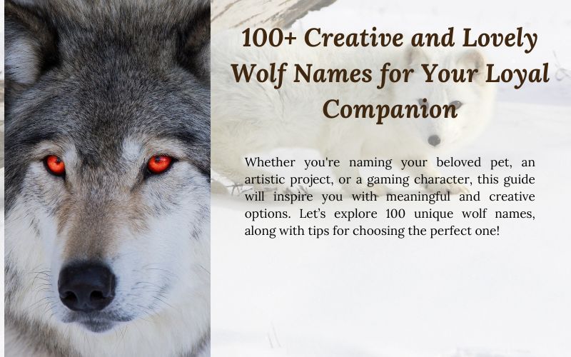 A majestic wolf standing in a serene forest, embodying the beauty of creative wolf names.