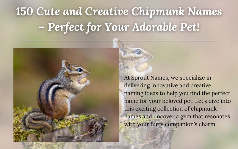 A chipmunk sitting on a rock with a playful pose, showcasing its charm.