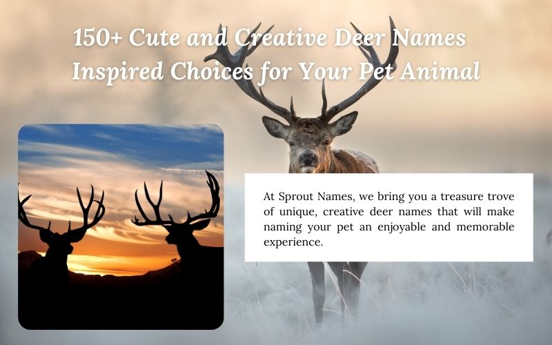 Adorable deer with a list of creative deer names for pet animals.