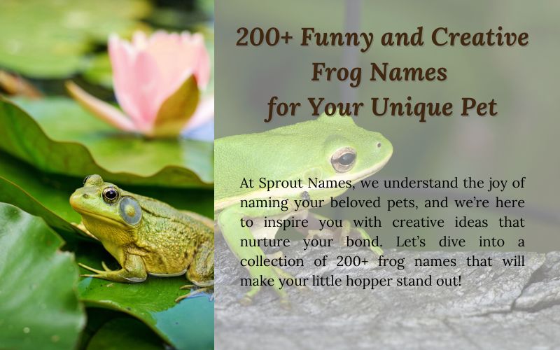 A vibrant collection of frogs with creative and funny names from Sprout Names.