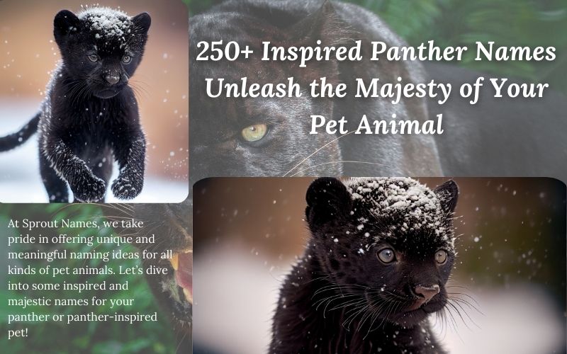 A majestic black panther symbolizing grace and mystery, perfect for naming inspiration.