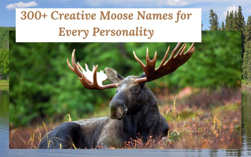 A happy moose with a list of creative names surrounding it.