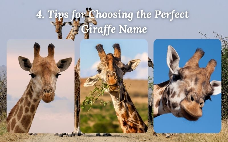  A playful giraffe in a colorful background with name suggestions.