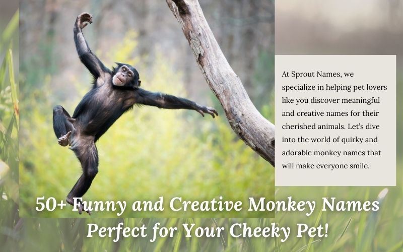 A playful monkey showcasing funny and creative monkey names for cheeky pets.