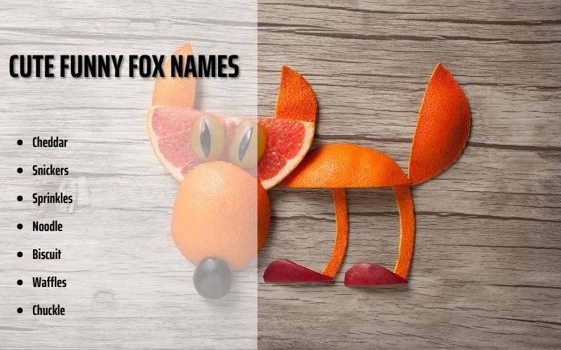 A playful fox jumping in the grass, symbolizing cute and funny name ideas.