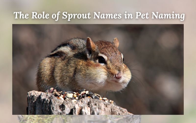 A playful chipmunk on a branch, radiating charm and energy.